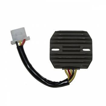 Electrosport -jännitteensäädin, Kawasaki EN500 90-09